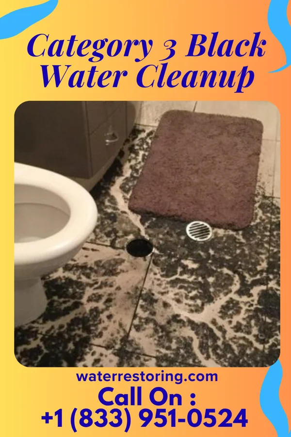 Category 3 Black Water Cleanup in St. Regis Falls, NY