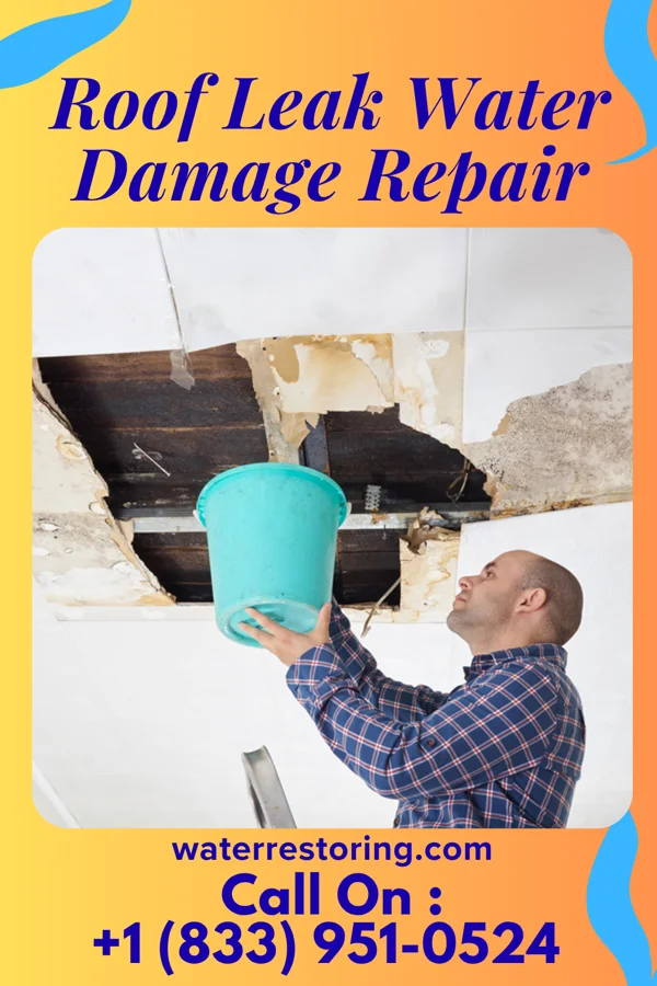Roof Leak Water Damage Repair in St. Regis Falls, NY