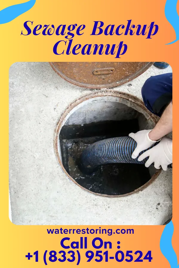 Sewage Backup Cleanup in St. Regis Falls, NY