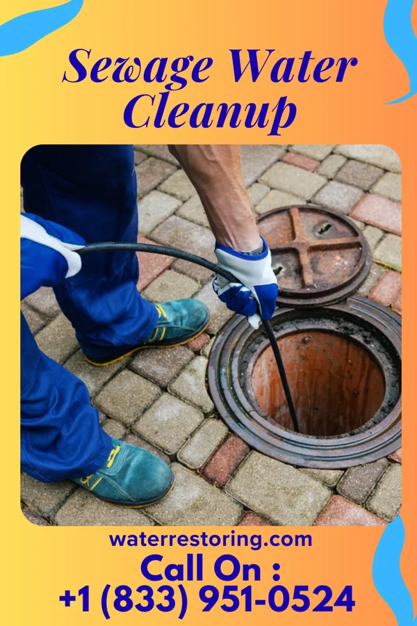Sewage Water Cleanup in St. Regis Falls, NY