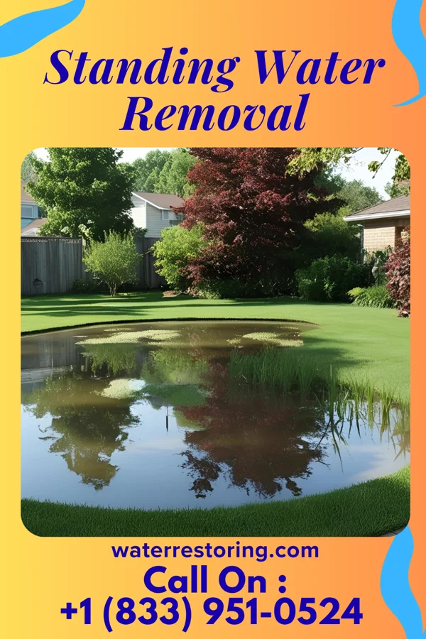 Standing Water Removal in St. Regis Falls, NY